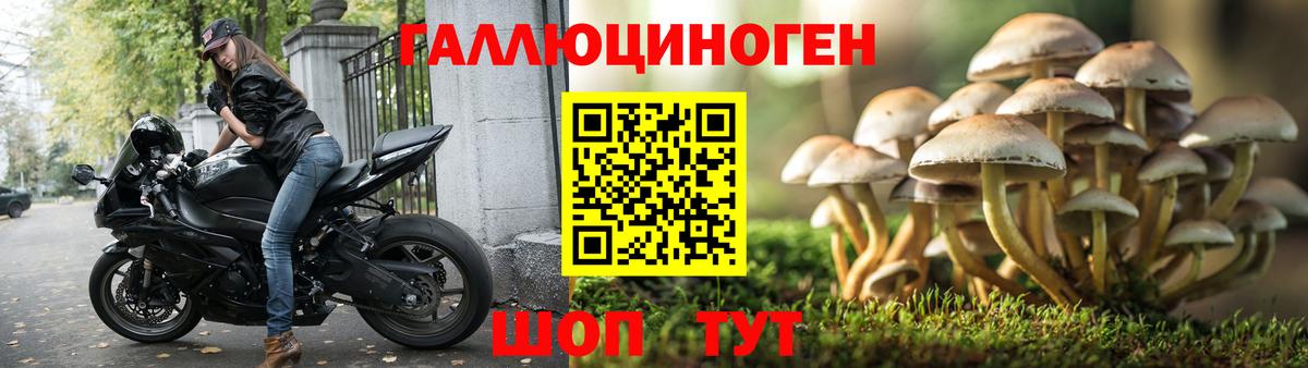 Псилоцибиновые грибы MAGIC MUSHROOMS  Вход с VPN  Галлюциногенные грибы мицелий  Углич 